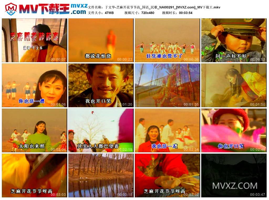 于文华-芝麻开花节节高_国语_民歌_NAI00291